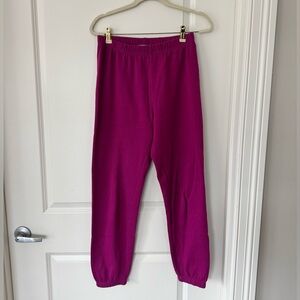 Z Supply Jogger Sweatpants